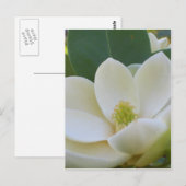 CricketDiane Southern Magnolias Briefkaart (Voorkant / Achterkant)