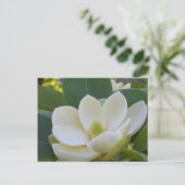 CricketDiane Southern Magnolias Briefkaart (Staand voorkant)