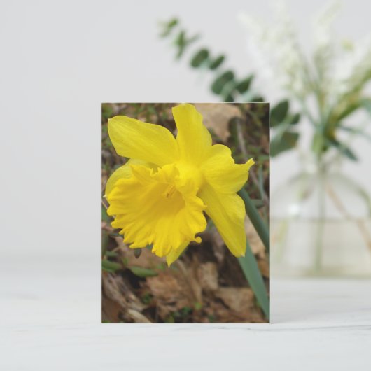 CricketDiane Yellow Spring Jonquils Design Briefkaart (Staand voorkant)