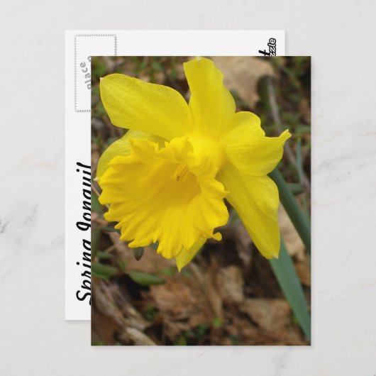 CricketDiane Yellow Spring Jonquils Design Briefkaart (Voorkant / Achterkant)