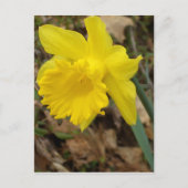 CricketDiane Yellow Spring Jonquils Design Briefkaart (Voorkant)