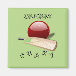 cricketmagneet magneet
