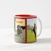 CricketMok Tweekleurige Koffiemok (Voorkant rechts)
