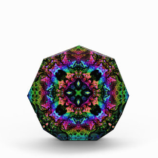 Crickets Pride Fotoblokken