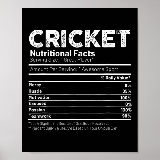 Cricketspeler Cadeau voor mannen Poster (Voorkant)
