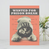 Crime Kat Kaart (Staand voorkant)