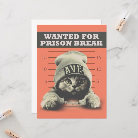 Crime Kat Kaart (Voorkant / Achterkant in situ)