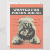 Crime Kat Kaart (Voorkant)