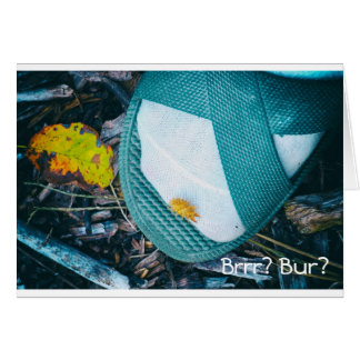 Criminaliteit tegen Natuur en samenleving