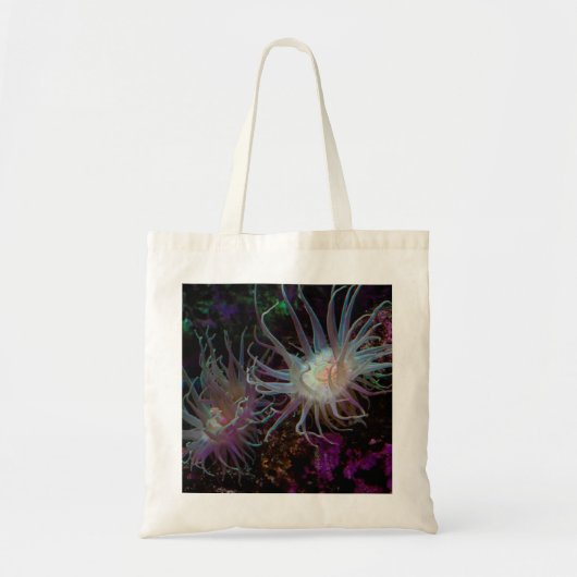 Crimson Anemone Tote Bag (Voorkant)