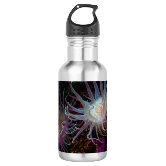Crimson Anemone Water Bottle Waterfles (Voorkant)