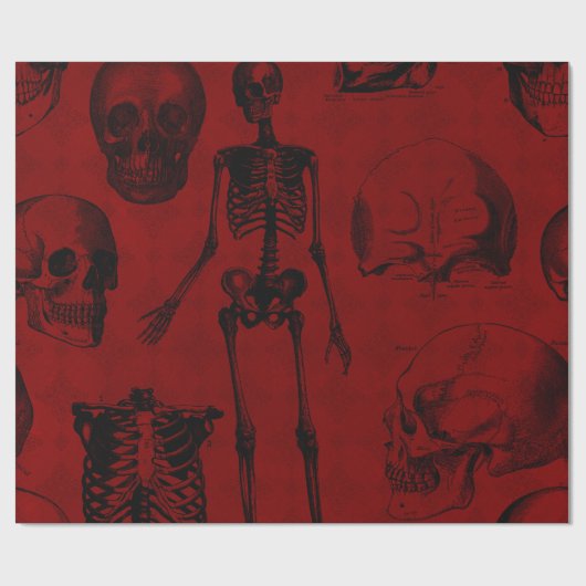 Crimson & Black Skeletons Anatomie Cadeaupapier (Vlak)