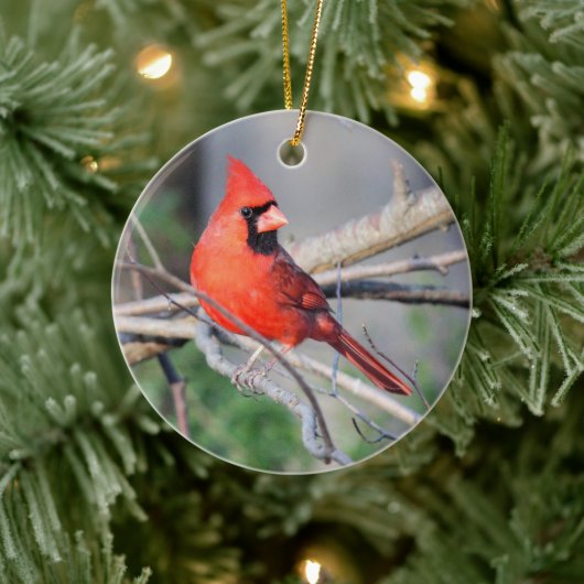 Crimson Cardinaal Crest Premium Ornament (Boom)