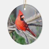 Crimson Cardinaal Crest Premium Ornament (Links)