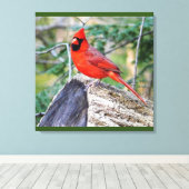 Crimson Cardinale Bossen Canvas Afdruk (Insitu (Houten vloer))