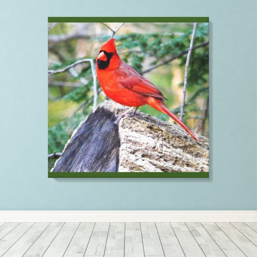 Crimson Cardinale Bossen Canvas Afdruk (Insitu (Houten vloer))