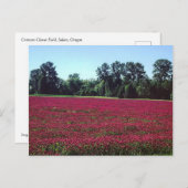 Crimson Clover Field Briefkaart (Voorkant / Achterkant)