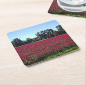 Crimson Clover Field Kartonnen Onderzetters (Schuin)