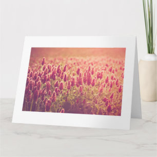 Crimson Clover Natuur Flowers Big Kaart