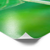 Crimson Clover Pair Photo Print Foto Afdruk (Hoek)