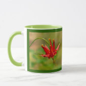 Crimson Columbine-Mok Mok (Links)