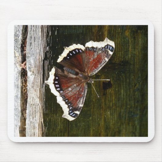 Crimson en White Butterfly Muismat (Voorkant)