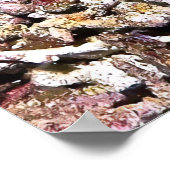 Crimson Fish Poster (Hoek)
