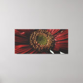Crimson Gerbera Macro Canvas Afdruk (Voorkant)