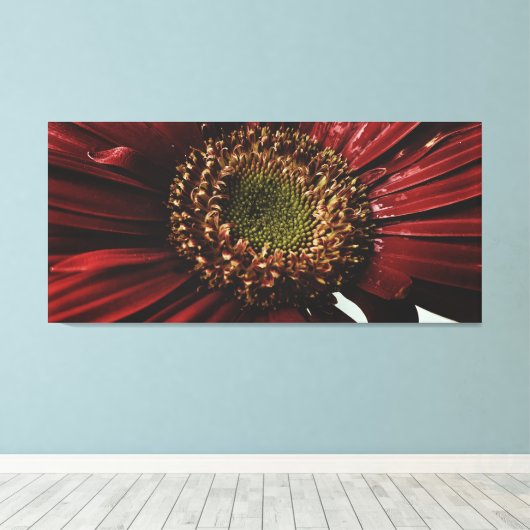 Crimson Gerbera Macro Canvas Afdruk (Insitu (Houten vloer))