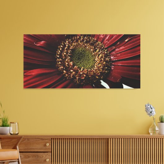 Crimson Gerbera Macro Canvas Afdruk (Insitu (Woonkamer))