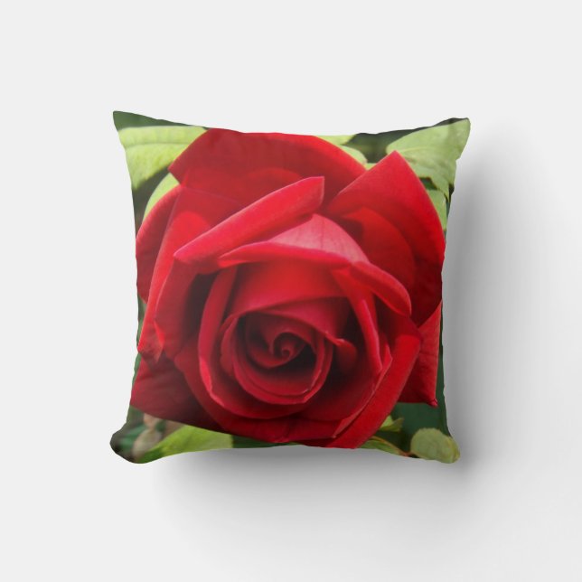 Crimson Glory Roos Pillow Kussen (Voorkant)
