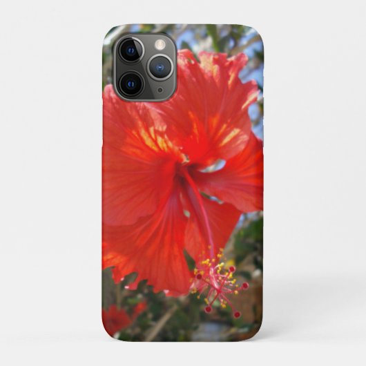 Crimson Grace: Rode Hibiscus Bloeit Aan Een Boom Case-Mate iPhone Case (Achterkant)
