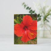 Crimson Hibiscus Glow Briefkaart (Staand voorkant)