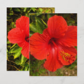 Crimson Hibiscus Glow Briefkaart (Voorkant / Achterkant)
