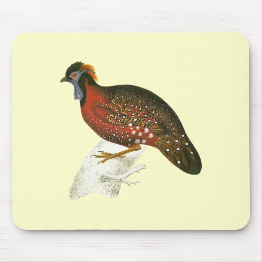 Crimson Horned Pheasant Muismat (Voorkant)