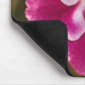 Crimson Ice African Violet Muismat (Hoek)