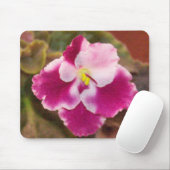 Crimson Ice African Violet Muismat (Met muis)
