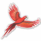 Crimson Macaw / rode papegaai tijdens de vlucht Sticker (Voorkant)