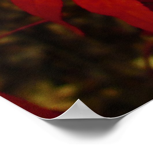 Crimson Maple Leaves - Gepersonaliseerd Poster (Hoek)