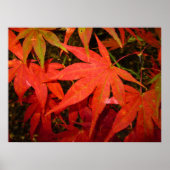 Crimson Maple Leaves - Gepersonaliseerd Poster (Voorkant)