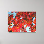 Crimson Myrtle #1 Canvas Afdruk (Voorkant)