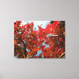 Crimson Myrtle #2 Canvas Afdruk