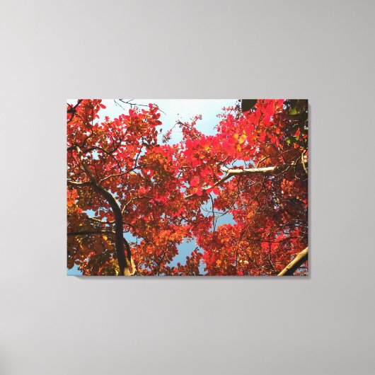 Crimson Myrtle #2 Canvas Afdruk (Voorkant)