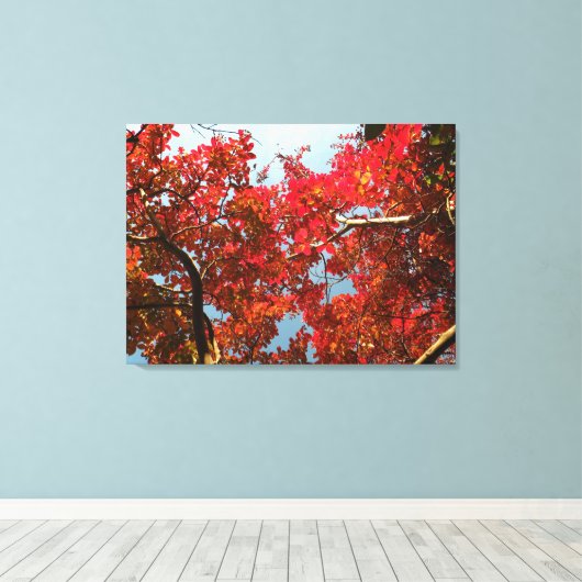 Crimson Myrtle #2 Canvas Afdruk (Insitu (Houten vloer))