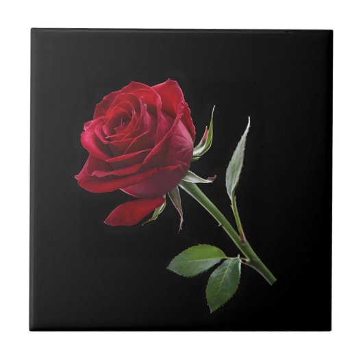 Crimson on Ebony: De enige rode roos, Tegeltje (Voorkant)