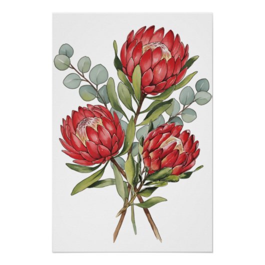 Crimson Protea Bouquet Watercolor Perfect Poster (Voorkant)