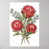 Crimson Protea Bouquet Watercolor Poster (Voorkant)