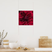 Crimson Red Dahlia Art - Arabische nachtbloem Poster (Keuken)