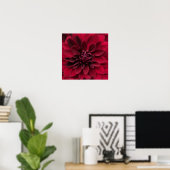 Crimson Red Dahlia Art - Arabische nachtbloem Poster (Thuiskantoor)