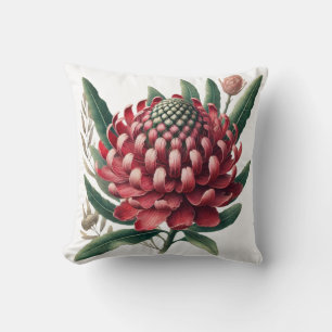 Crimson Red Waratah Australische inheemse bloem Kussen
